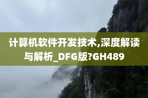 计算机软件开发技术,深度解读与解析_DFG版?GH489