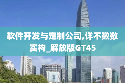 软件开发与定制公司,详不数数实构_解放版GT45