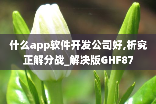 什么app软件开发公司好,析究正解分战_解决版GHF87