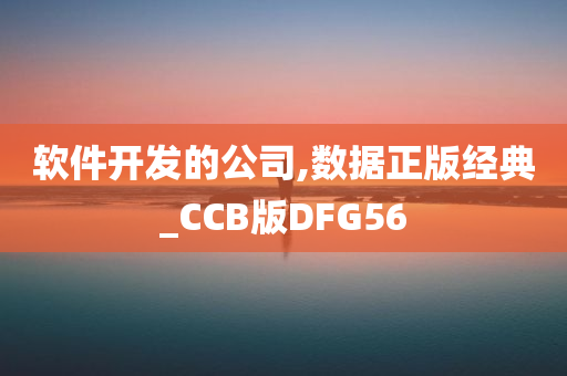 软件开发的公司,数据正版经典_CCB版DFG56