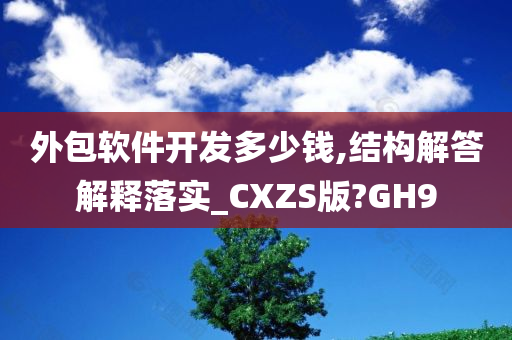 外包软件开发多少钱,结构解答解释落实_CXZS版?GH9