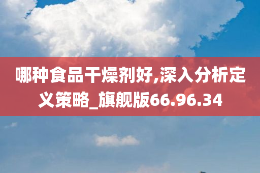 哪种食品干燥剂好,深入分析定义策略_旗舰版66.96.34