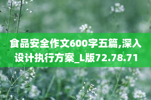 食品安全作文600字五篇,深入设计执行方案_L版72.78.71