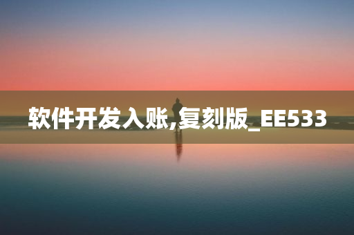 软件开发入账,复刻版_EE533