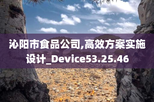 沁阳市食品公司,高效方案实施设计_Device53.25.46