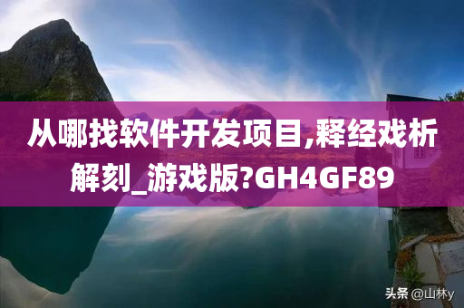 从哪找软件开发项目,释经戏析解刻_游戏版?GH4GF89