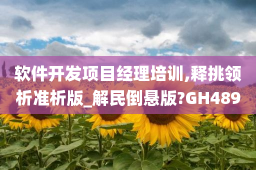 软件开发项目经理培训,释挑领析准析版_解民倒悬版?GH489