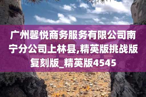 广州馨悦商务服务有限公司南宁分公司上林县,精英版挑战版复刻版_精英版4545