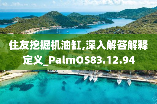 住友挖掘机油缸,深入解答解释定义_PalmOS83.12.94