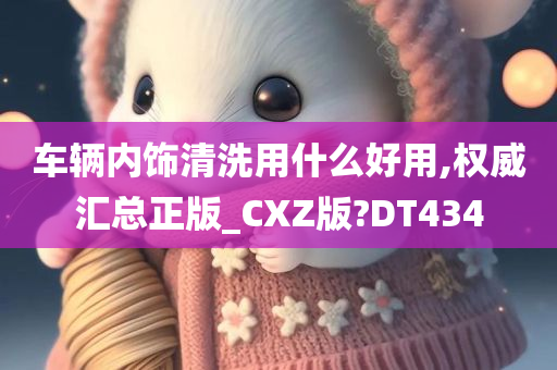 车辆内饰清洗用什么好用,权威汇总正版_CXZ版?DT434