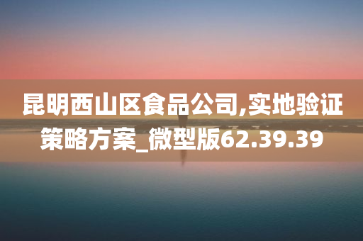 昆明西山区食品公司,实地验证策略方案_微型版62.39.39