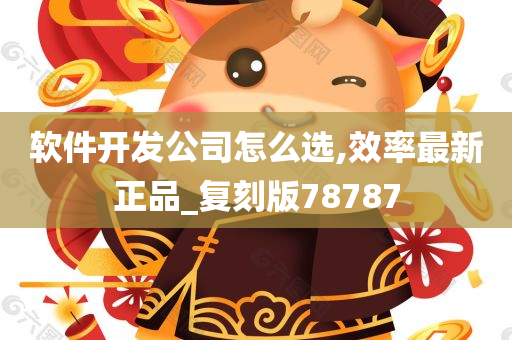 软件开发公司怎么选,效率最新正品_复刻版78787