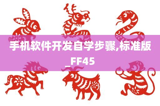 手机软件开发自学步骤,标准版_FF45