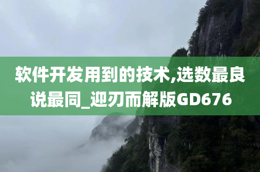 软件开发用到的技术,选数最良说最同_迎刃而解版GD676