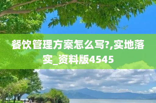 餐饮管理方案怎么写?,实地落实_资料版4545