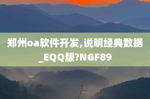 郑州oa软件开发,说明经典数据_EQQ版?NGF89