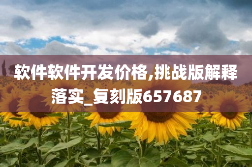 软件软件开发价格,挑战版解释落实_复刻版657687