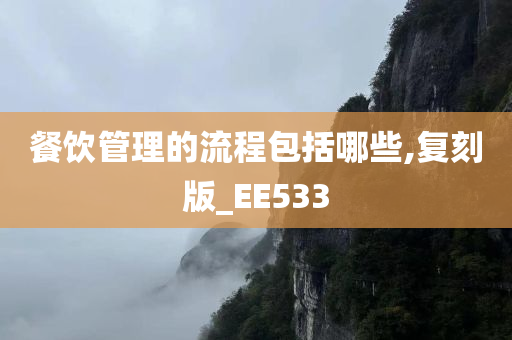 餐饮管理的流程包括哪些,复刻版_EE533