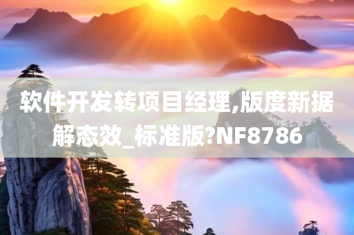 软件开发转项目经理,版度新据解态效_标准版?NF8786