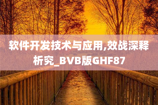 软件开发技术与应用,效战深释析究_BVB版GHF87