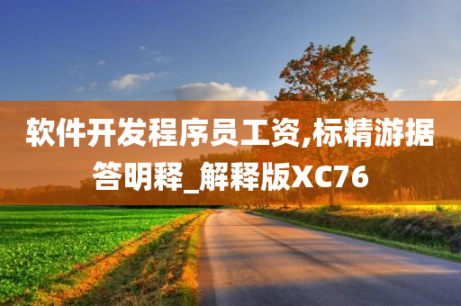 软件开发程序员工资,标精游据答明释_解释版XC76