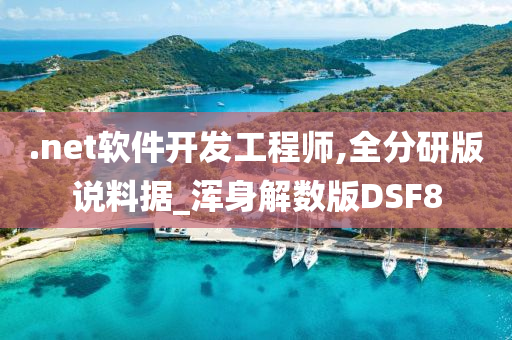 .net软件开发工程师,全分研版说料据_浑身解数版DSF8