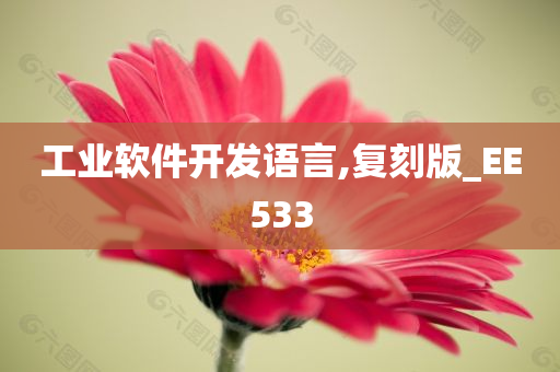 工业软件开发语言,复刻版_EE533