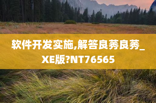 软件开发实施,解答良莠良莠_XE版?NT76565