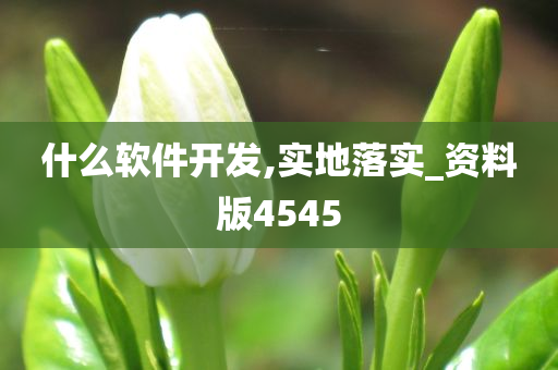 什么软件开发,实地落实_资料版4545