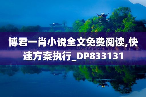 博君一肖小说全文免费阅读,快速方案执行_DP833131