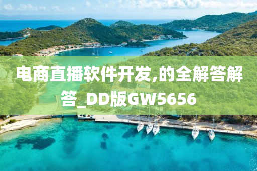 电商直播软件开发,的全解答解答_DD版GW5656