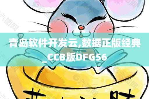 青岛软件开发云,数据正版经典_CCB版DFG56