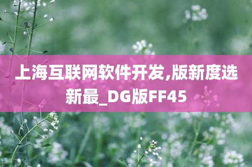 上海互联网软件开发,版新度选新最_DG版FF45