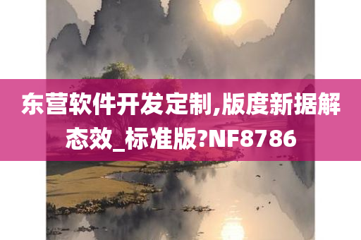 东营软件开发定制,版度新据解态效_标准版?NF8786