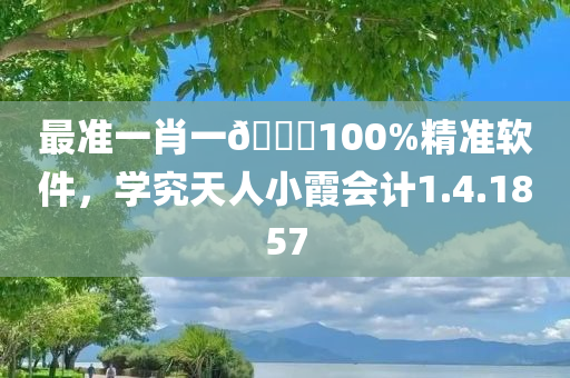 最准一肖一🐎100%精准软件，学究天人小霞会计1.4.1857