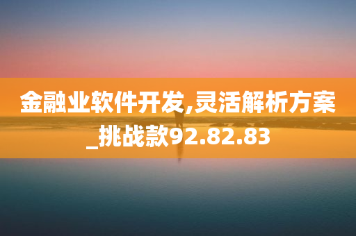 金融业软件开发,灵活解析方案_挑战款92.82.83