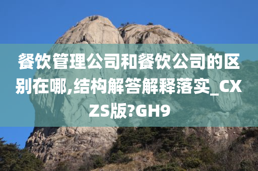 餐饮管理公司和餐饮公司的区别在哪,结构解答解释落实_CXZS版?GH9