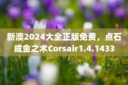 新澳2024大全正版免费，点石成金之术Corsair1.4.1433