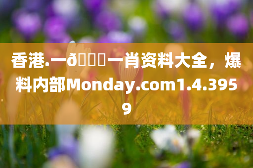 香港.一🐎一肖资料大全，爆料内部Monday.com1.4.3959