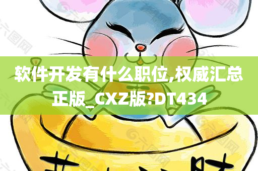 软件开发有什么职位,权威汇总正版_CXZ版?DT434