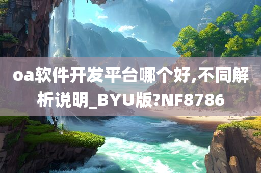 oa软件开发平台哪个好,不同解析说明_BYU版?NF8786