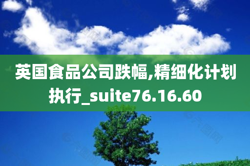 英国食品公司跌幅,精细化计划执行_suite76.16.60