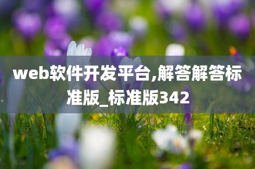 web软件开发平台,解答解答标准版_标准版342