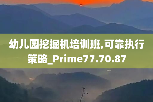 幼儿园挖掘机培训班,可靠执行策略_Prime77.70.87