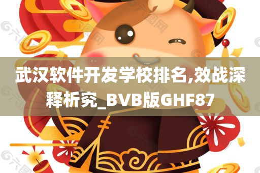 武汉软件开发学校排名,效战深释析究_BVB版GHF87