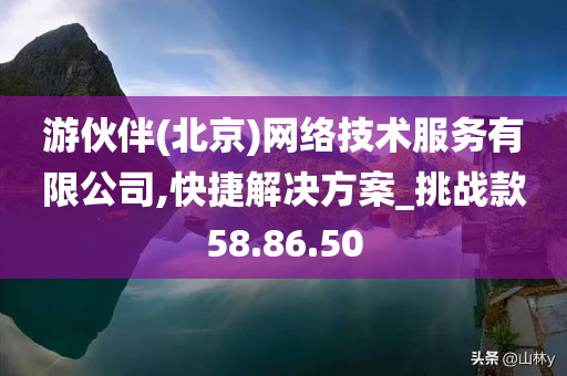 游伙伴(北京)网络技术服务有限公司,快捷解决方案_挑战款58.86.50