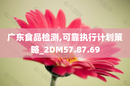 广东食品检测,可靠执行计划策略_2DM57.87.69