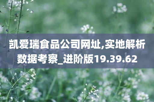 凯爱瑞食品公司网址,实地解析数据考察_进阶版19.39.62