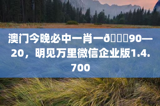 澳门今晚必中一肖一🐎90—20，明见万里微信企业版1.4.700