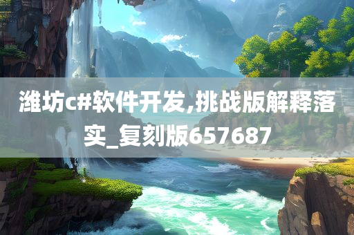 潍坊c#软件开发,挑战版解释落实_复刻版657687